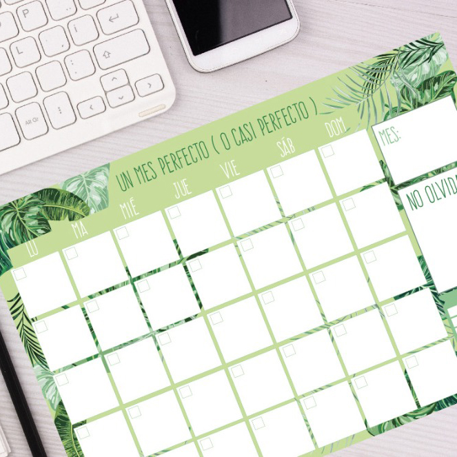 Organizador ANUAL XL CHIC